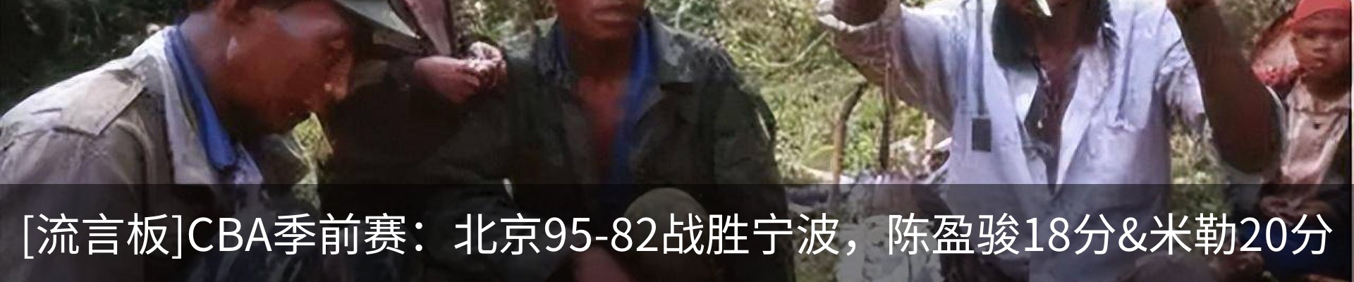 最新动态